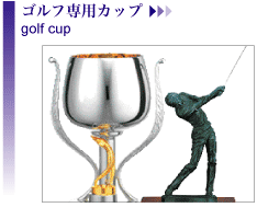 �S���t��p�J�b�v