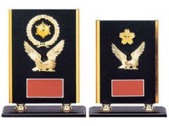 安全表彰楯 v-vsx-5566