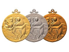 柔道メダル（柔道） fj-fma80-11