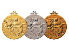 柔道メダル（柔道） fj-fmc63sk-24